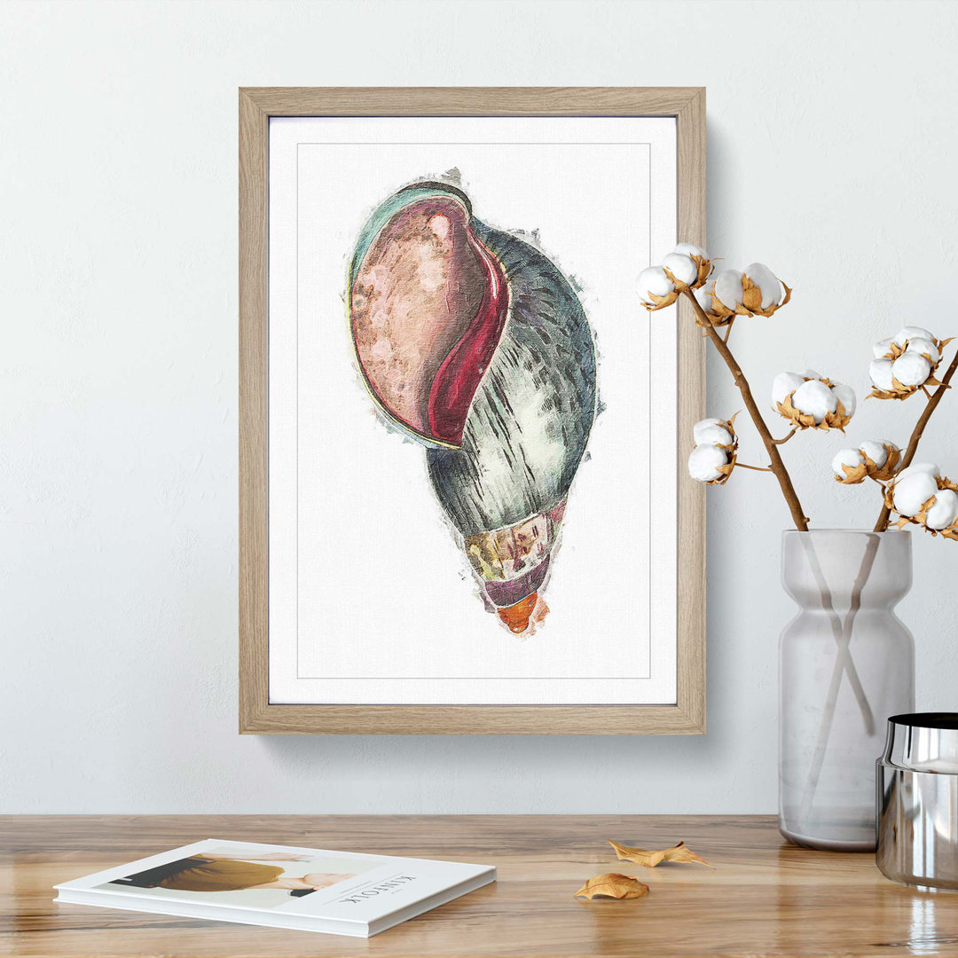 Colourful Seashell by George Shaw - Picture Frame Painting