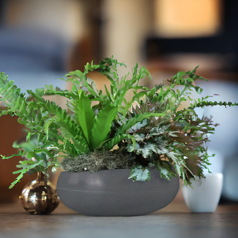Pot à fleurs rond écologique Dhruvin ECOBO, usage intérieur / extérieur quatre saisons Rochas, Noir marbré