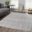 Tapis gris Dounia-862695650-935019272