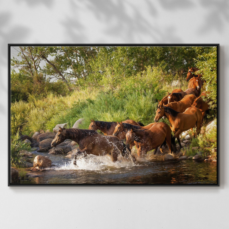 Sunlit Horses IV - reproduction de photo sur toile simple, H 27 po x l 41 po x P 2 po, Toile avec cadre flottant noir