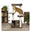 Arbre à chat 43" leopard Borrego