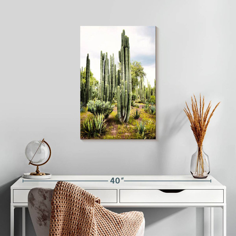 Harnek Viva, Mexique - Cactus Cardon I, H 24 po x l 16 po