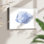 Poisson tropical bleu et blanc VI - reproduction encadrée