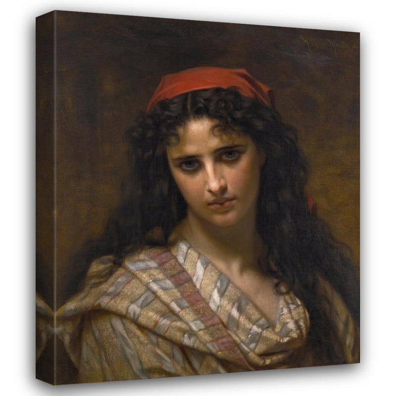 «A Rare Beauty» par Hugues Merle - Art mural sur toile tendue avec châssis, H 40 po x l 28 po