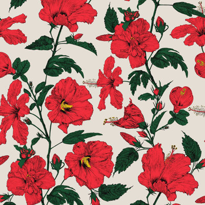 Hibiscus Haiti Caribbean Flower Wallpaper