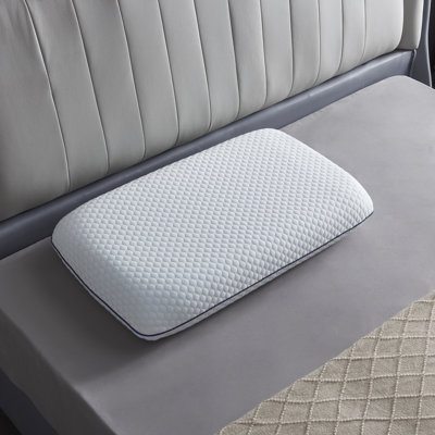 Wayfair Sleep Medium Memory Foam Pillow