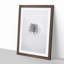 A Winter Tree in Abstract - Framed Print-55457446-55457447