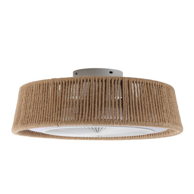 Abiyah 21.3'' Ceiling Fan with LED Lights