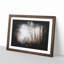 Woodland Road - Framed Print-56842460-56842458