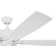 Lauresha 60'' Ceiling Fan with Light Kit
