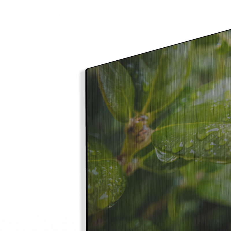  «Droplet Of The Leaf 5» par Life BeautifuLEE, art mural en métal, 16 po x 12 po, H 12 po x l 16 po