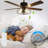 Elyis 52'' Ceiling Fan with Light Kit