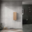 W H Medicine Cabinet Mirror