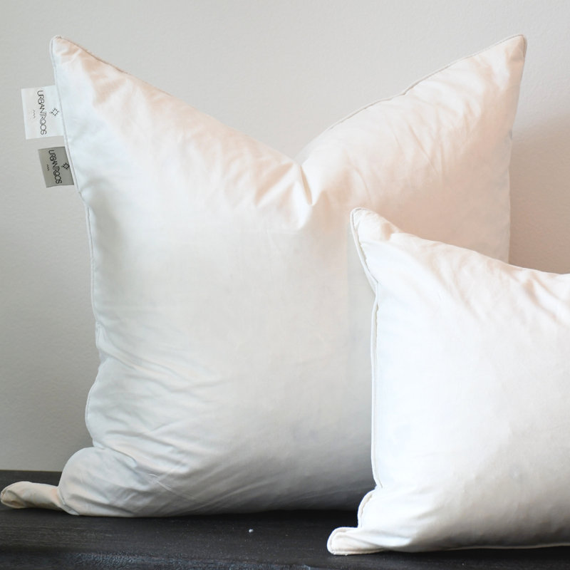 Goose Down and Feather Pillow Insert,    16"H x 16"W  , Square
