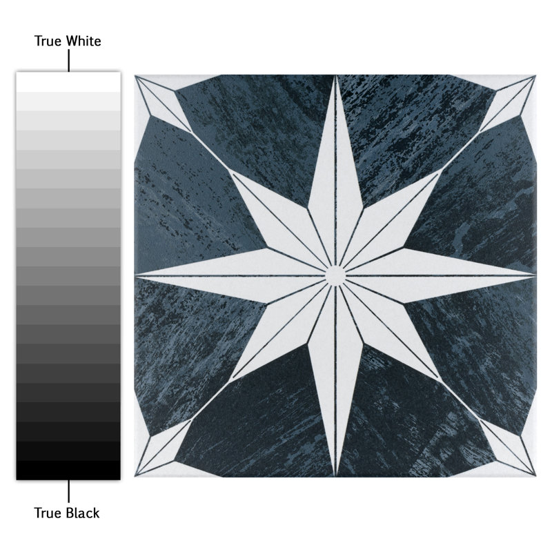 Cassis Stella 10" x 10" Porcelain Patterned Wall & Floor Tile, Black Night