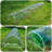 Greenhouse Plastic Panel Cover-53816941