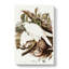 White Goshawks by Elizabeth Gould - Wrapped Canvas Painting-55305216