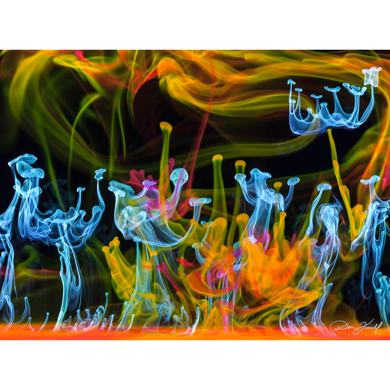 Aqua Awakening by Don Farrall - Wrapped Canvas Print, 38cm H x 51cm W x 4cm D