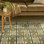 Alisah Geometric Machine Made Area Rug