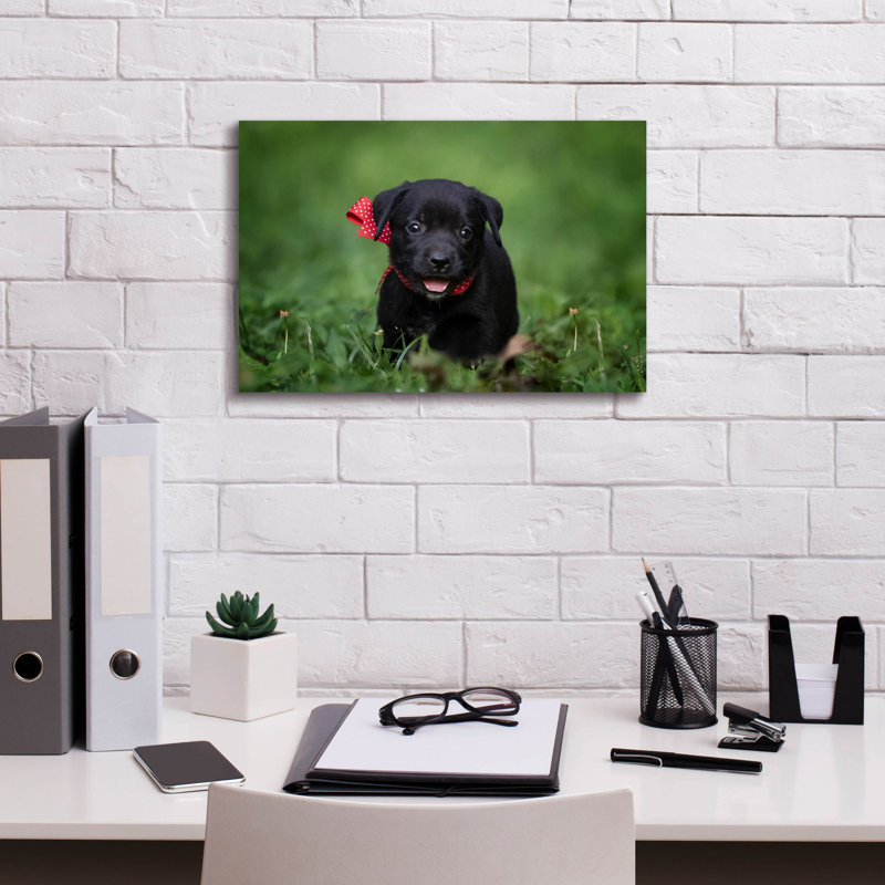 Black Lab Pup 10 par Jonathan Ross, H 12 po x l 18 po x P 0,75 po