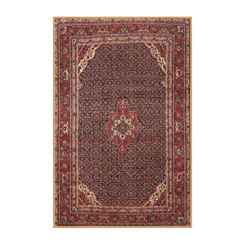 Eryk Oriental Indoor Rug, Rectangle 6' x 9'