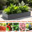 6X3x1 Ft Galvanized Steel Raised Garden Bed, Black Outdoor Container For Flower And Herb Gardens, Safe Edge Design 6 - Foot Long, Galvanized, Black, Outdoor, Container, Vegetables, Succulents, Rust ,-314599493