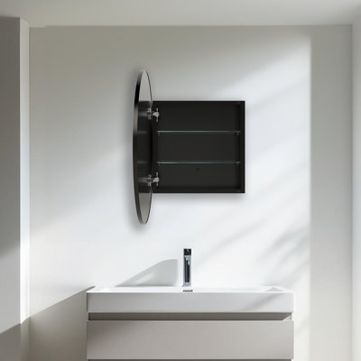Cirque Medicine Cabinet