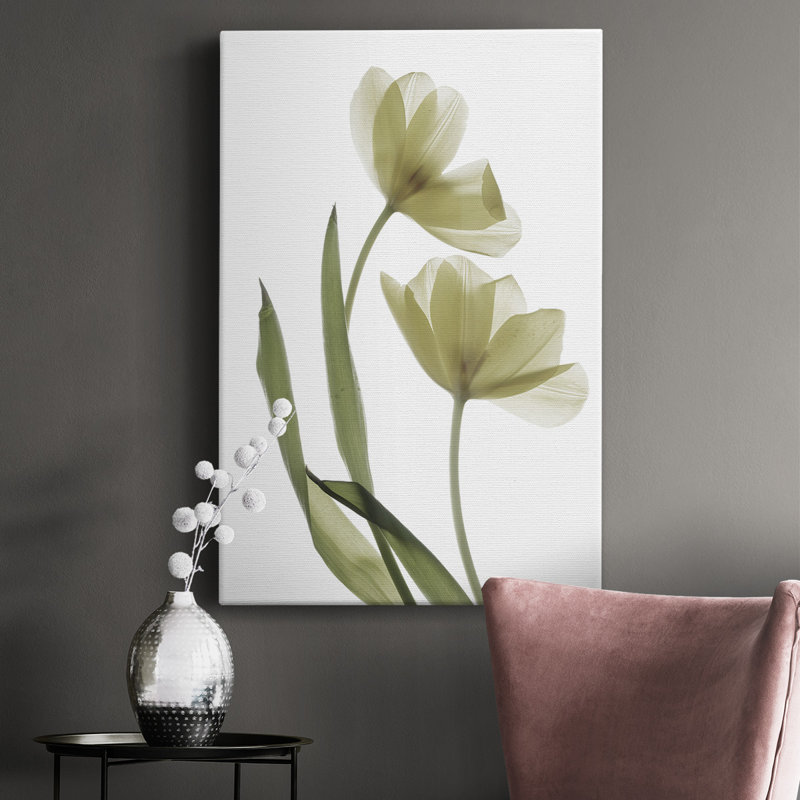 «Xray Tulip I», impression sur toile tendue, H 18 po x l 12 po x P 1 po
