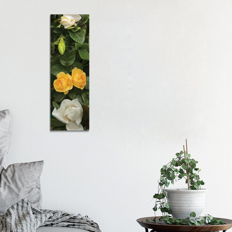 Close-Up Of White Poppies With Yellow Roses - Wrapped Canvas Panoramic Print, 30.48 cm H x 91.44 cm W x 1.91 cm D