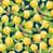 Lemons