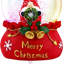 Christmas Snow Globe