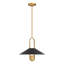 1 luminaire suspendu