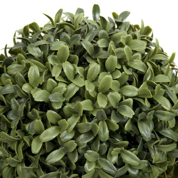 50.8cm Plant
