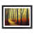 Black Framed selected