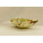 Centre de table vert onyx caméléon