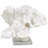 White Polystone Coral Textured Decorative Sculpture with Clear Acrylic Base