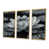 Toile avec cadre flottant or