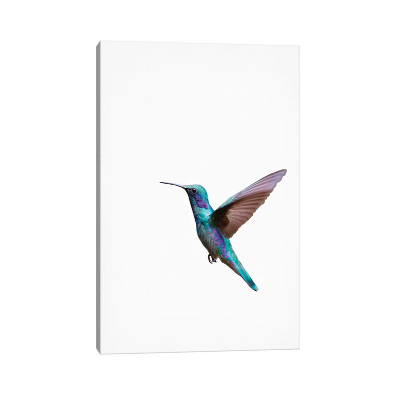 Humming Bird 1 Piece Wall Art on Canvas, 30.48cm H x 20.32cm W