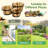 Bostow Set Of 3 Round Barrel Planter-1617013608