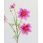 Real Touch Bleu Cosmos 29 po-904251296