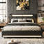 EU Double & King Faux Leather Ottoman Bed with Dual-Zone LED & Charging Shelf, Black PU Floating Storage Bed, 140/160x200cm-1089344645
