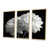 Toile naturelle avec cadre flottant