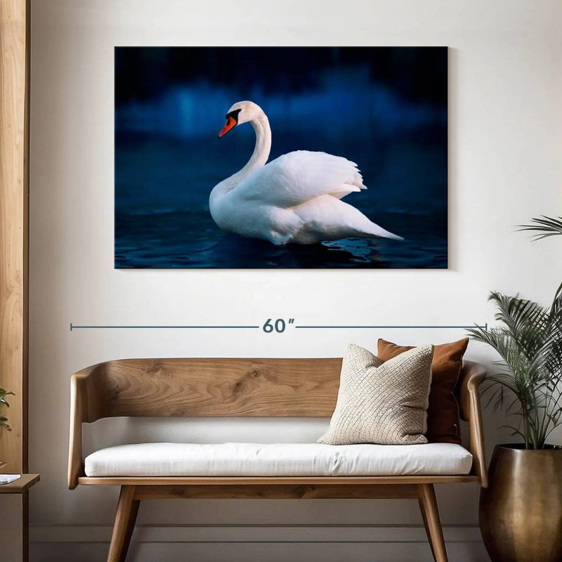 Cygne blanc pur Brampt, H 32 po x l 48 po