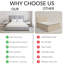 Upholstered Bed-1697181043-1697181041