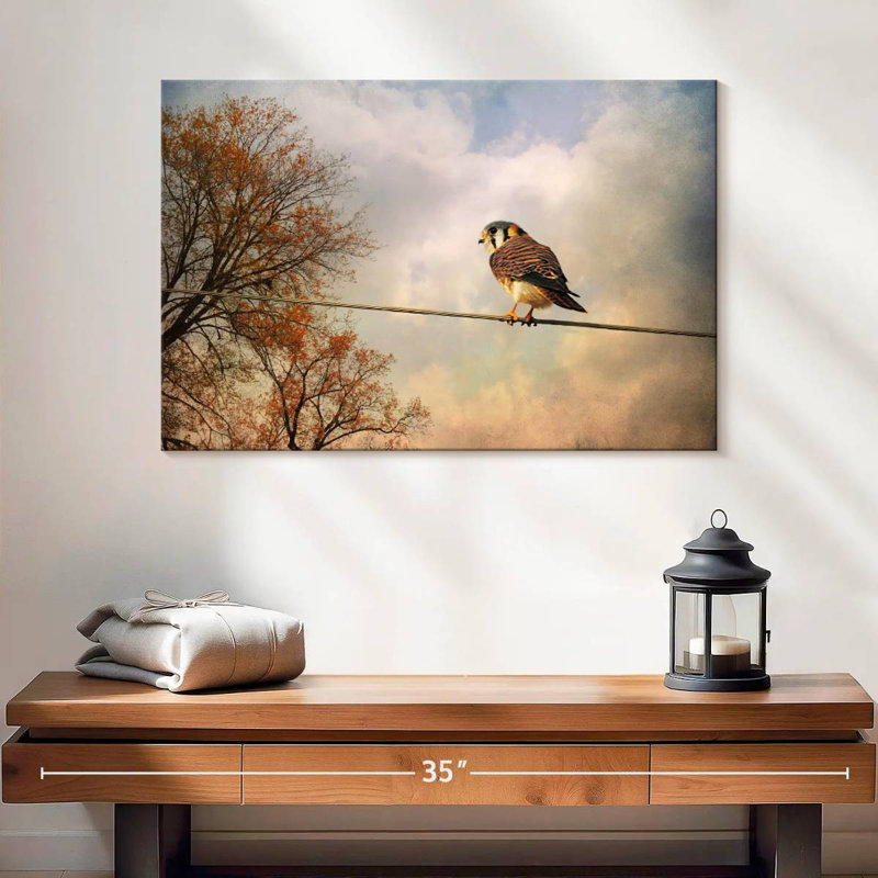 American Kestrel In Autumn, 16" H x 24" W