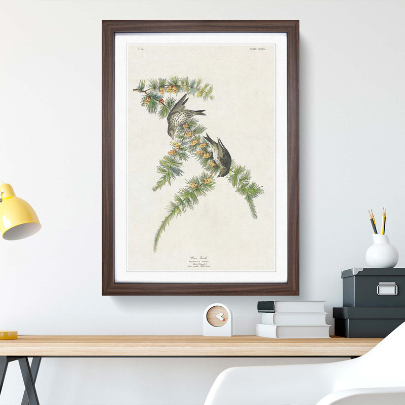 Pine Finches by John James Audubon - Picture Frame Painting Print, 36cm H x 27cm W x 2cm D, Walnut Framed