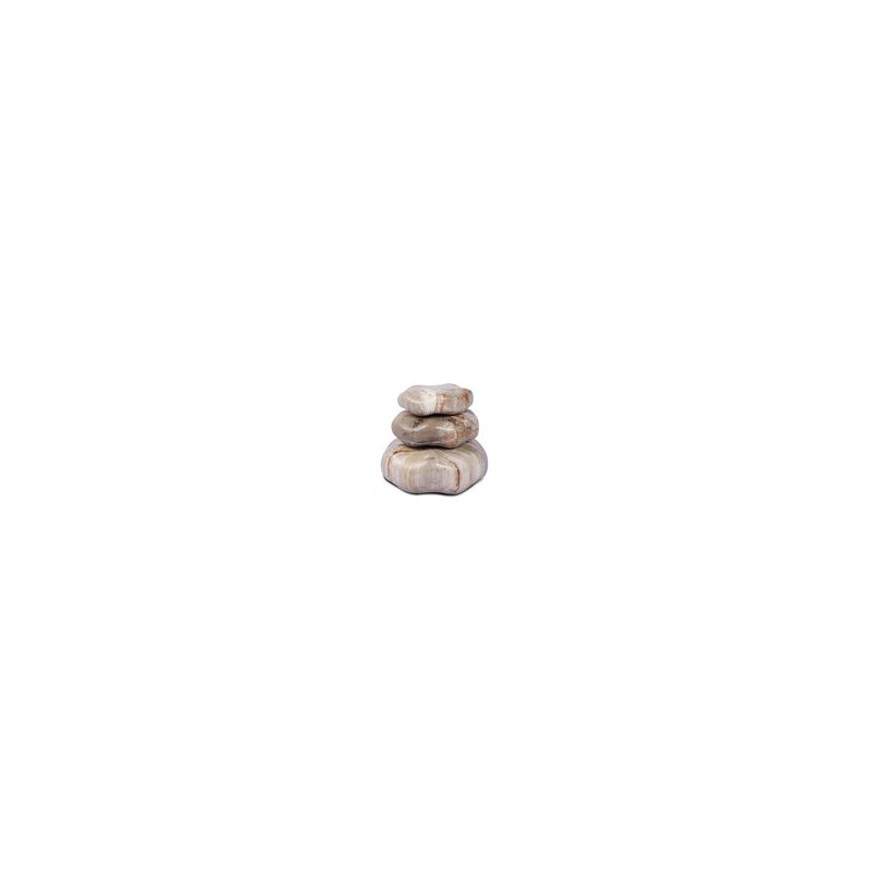 Petrified Wood Organic Sculpture, Light Brown
