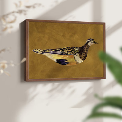 «Feathered Friend II», reproduction encadrée