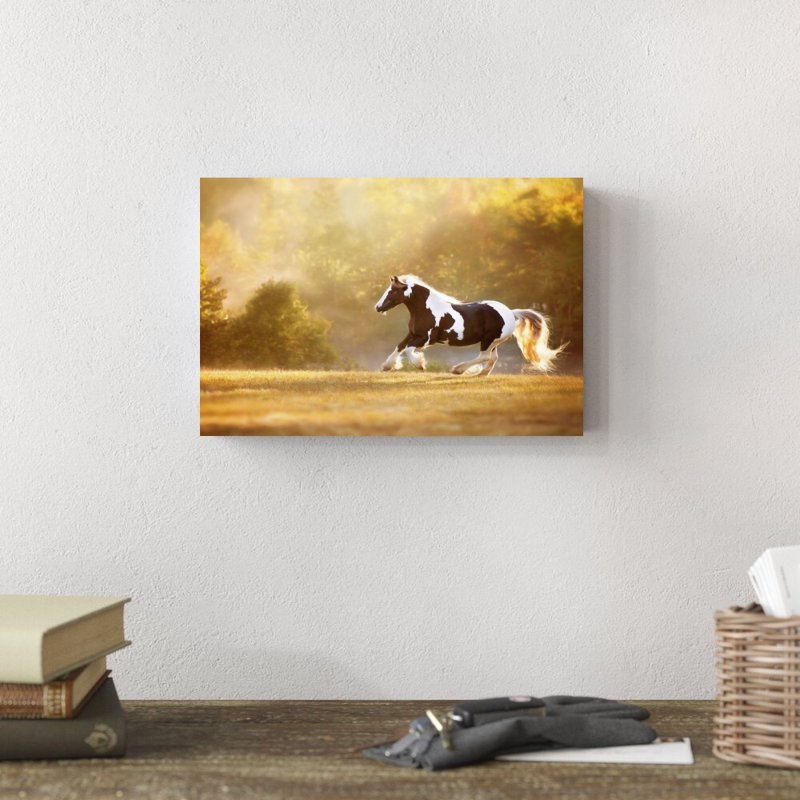 " Golden Lit Horse II " by PHBurchett, 8" H x 12" W