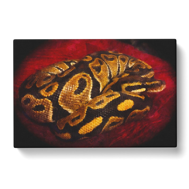 Python Snake - Wrapped Canvas Print, 50cm H x 76cm W x 3cm D
